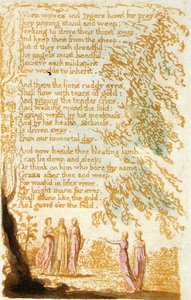 Quando lupi e tigri ululano..., tavola 17 da Songs of Innocence, 1789